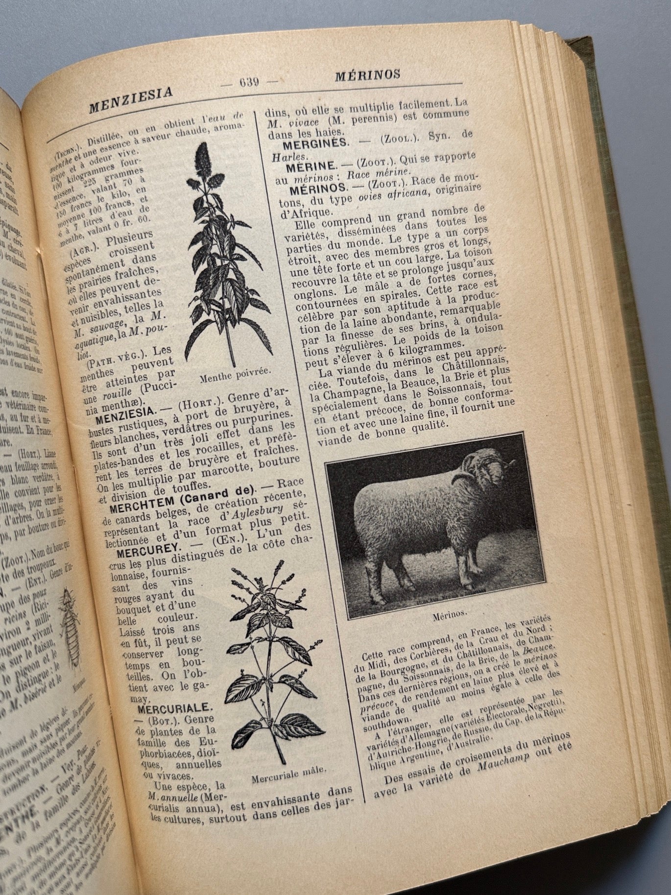 Libro de: Dictionnaire d'agriculture et de viticulture, Ch. Seltensperger - Libraire J. B. Baillière, 1911