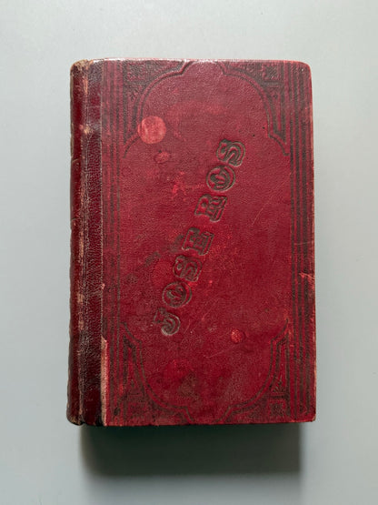 Libro de: Formulario patogénico usual. Guía homeopática, J. Prost-Lacuzon - Carlos Bailly-Bailliere, 1874