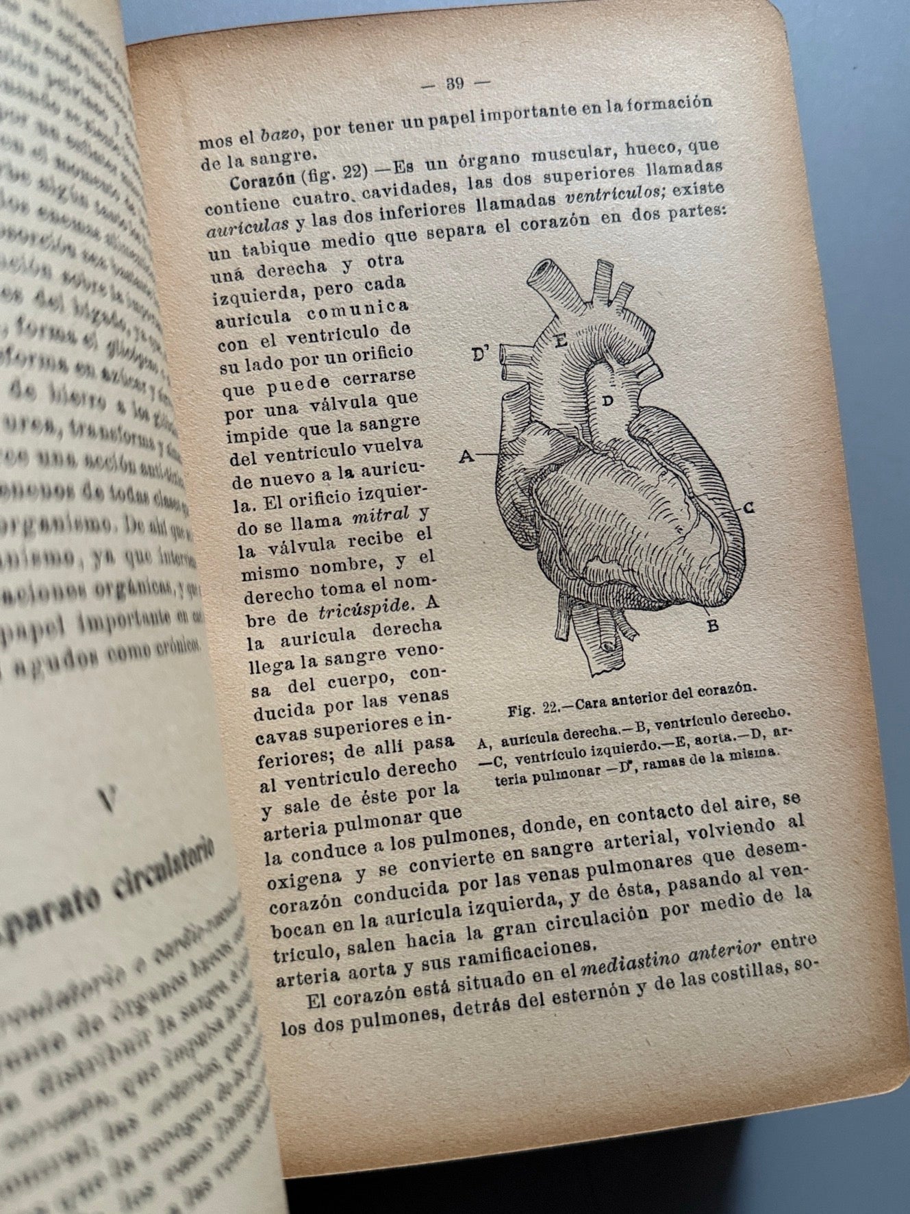 Libro de: Recetario de medicina doméstica, Doctor N. Blau - Librería de la viuda Castells, ca. 1930.