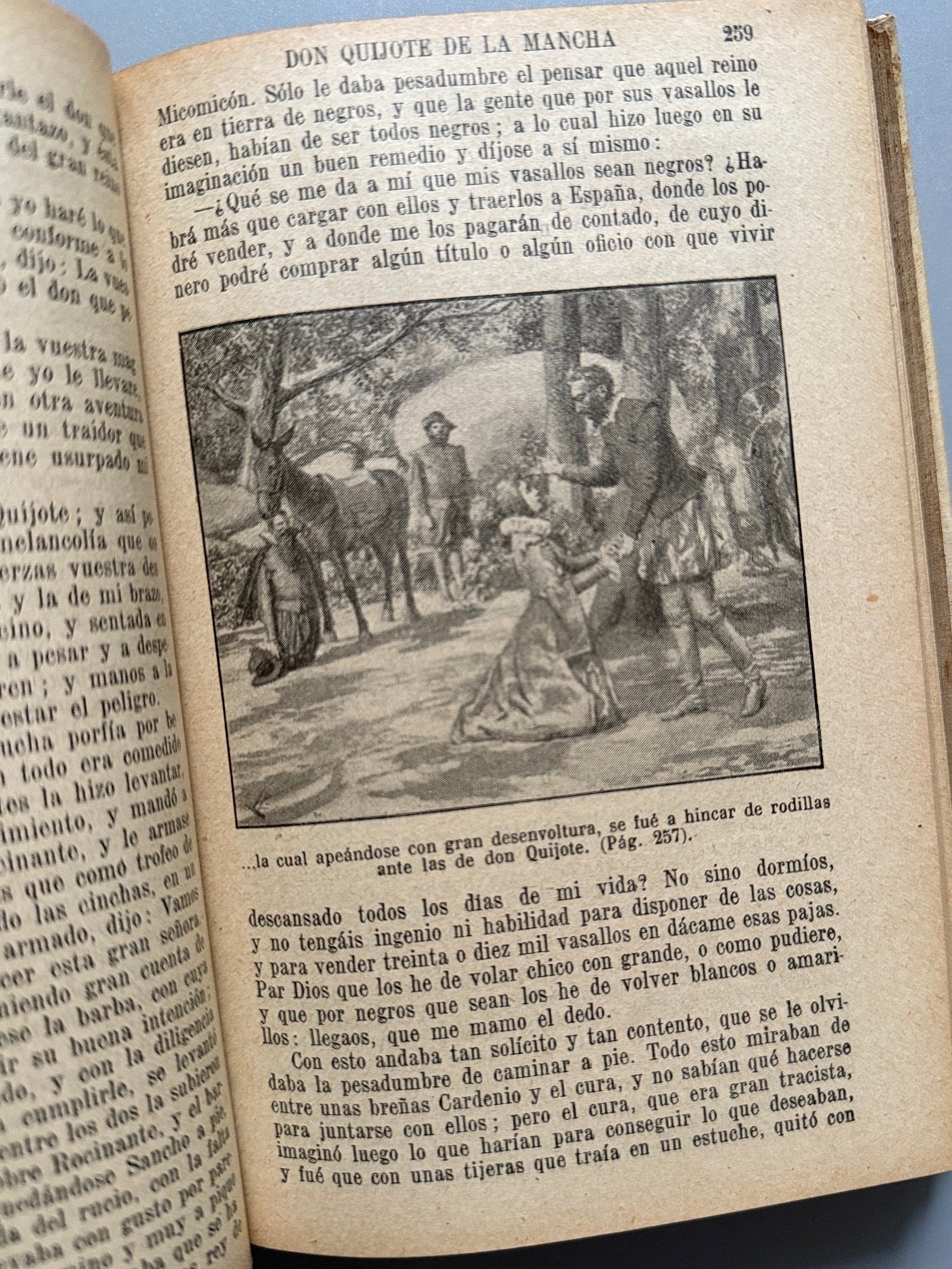 Libro de: El ingenioso hidalgo don Quijote de la Mancha, Miguel de Cervantes - Ramón Sopena Editor, 1930.