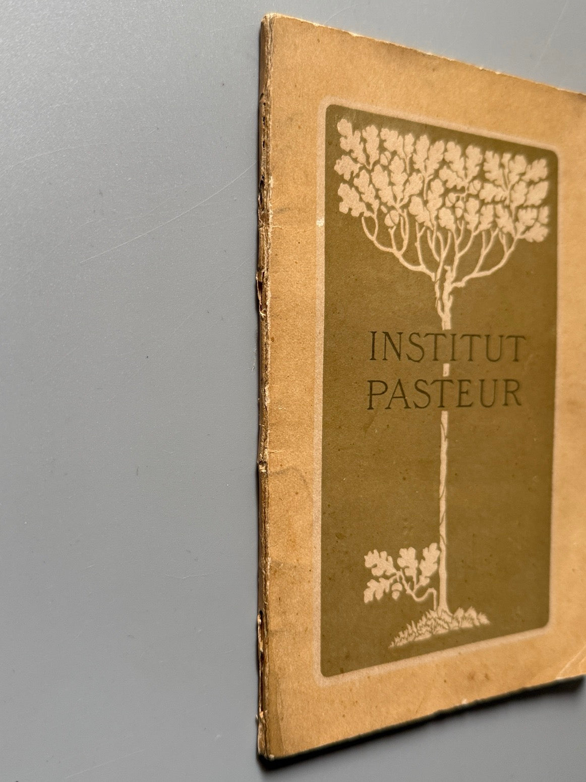 Libro de: L'Institut Pasteur et ses annexes - Narcisse Faucon, ca. 1895