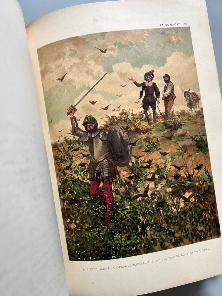 Libro de: Don Quijote De La Mancha - Miguel De Cervantes - Montaner Y Simón, 2 Tomos. 1880- 1883