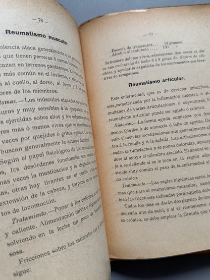 Libro de: Manual práctico del aficionado a los perros de caza y de lujo, Ramón Pellico - Hijos de Cuesta, 1910