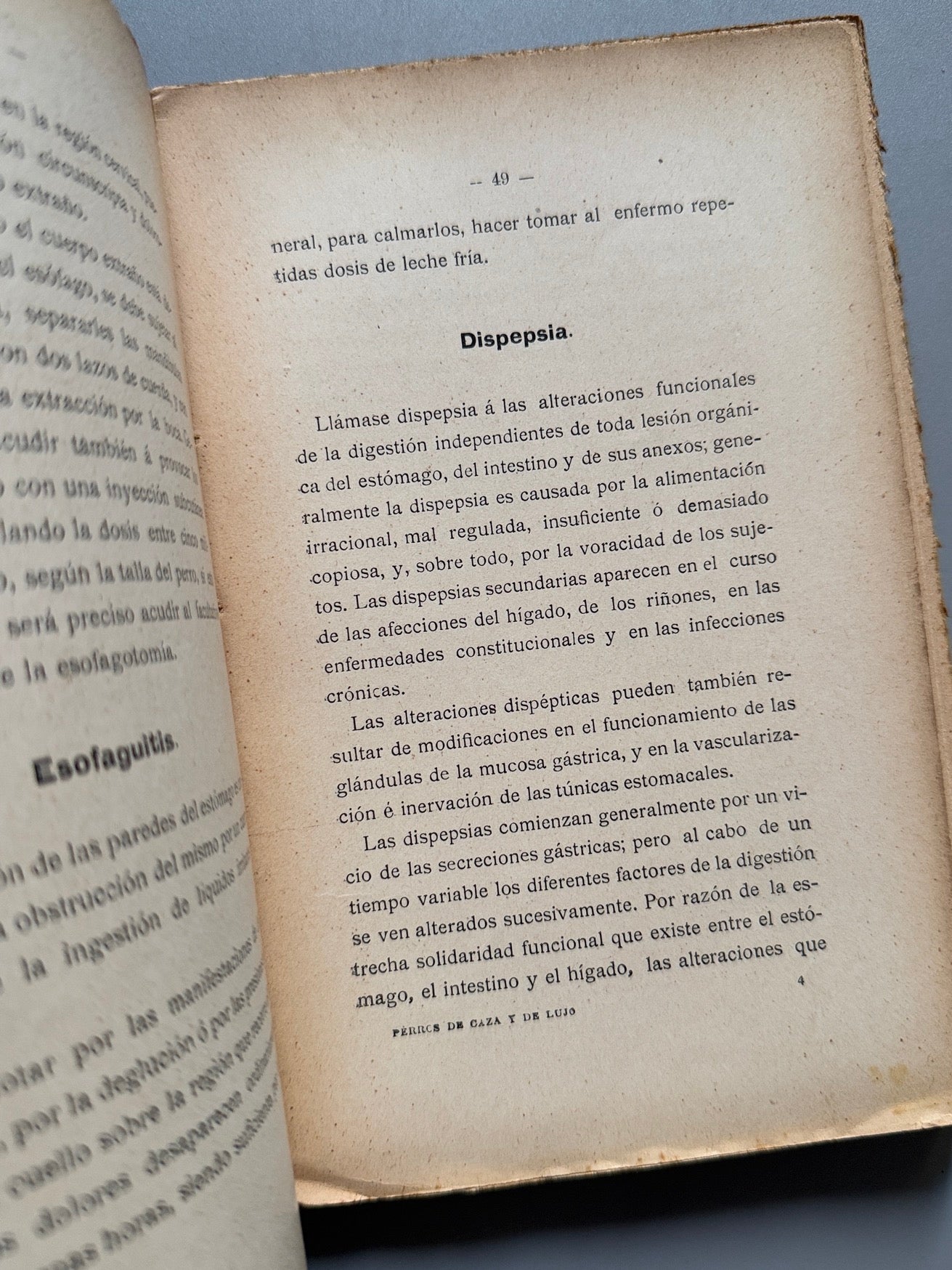 Libro de: Manual práctico del aficionado a los perros de caza y de lujo, Ramón Pellico - Hijos de Cuesta, 1910