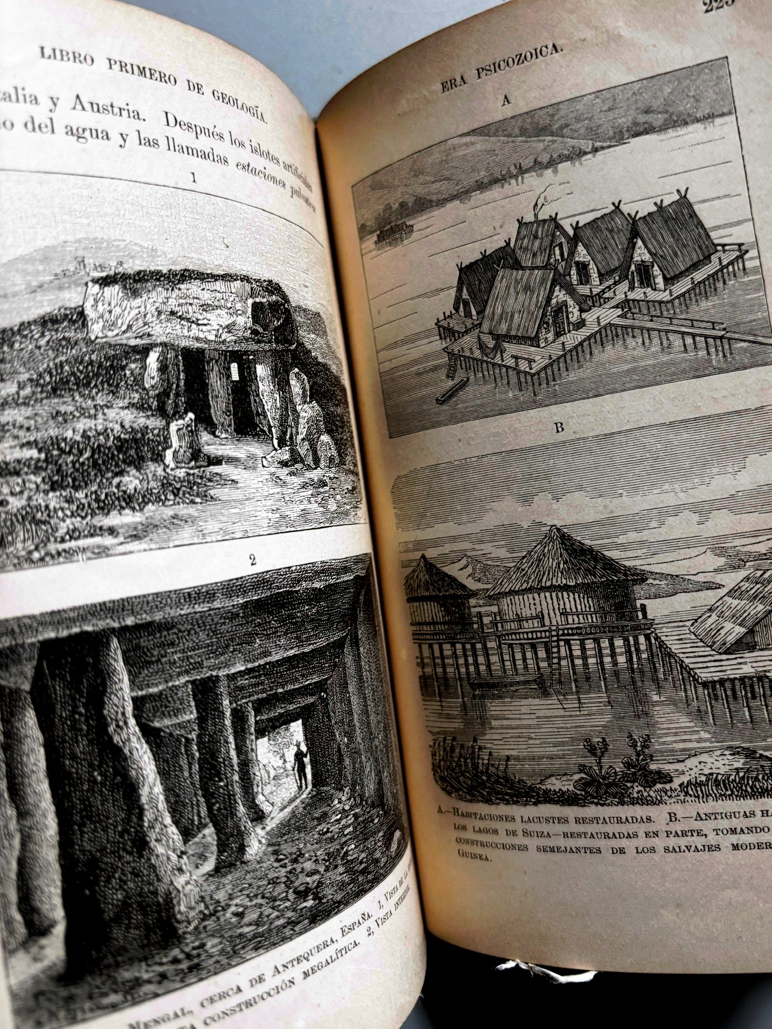 Libro de: Libro primero de mineralogía y geología, Juan García Purón - D. Appleton y Cia, 1900