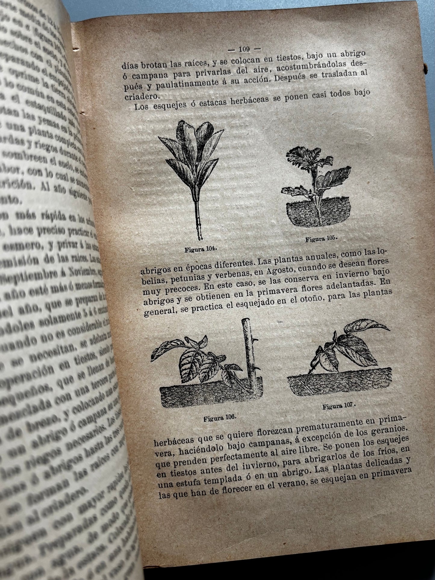 Libro de: Tratado de jardinería y floricultura, Pedro Julian Muñoz y Rubio - Hijos de Cuesta, 1907