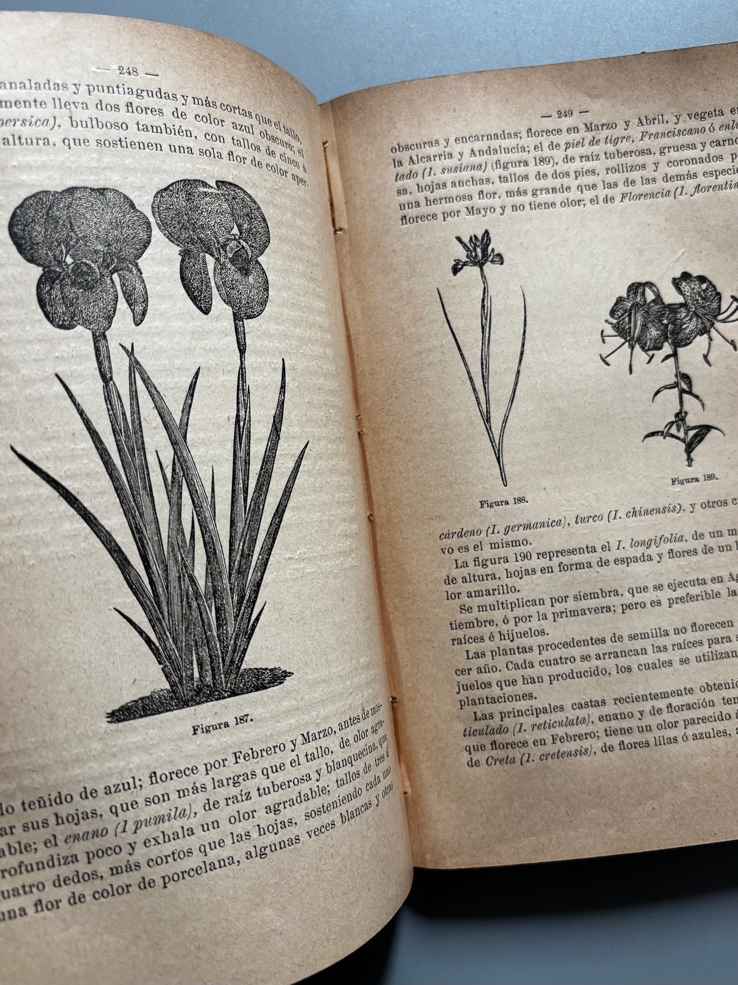 Libro de: Tratado de jardinería y floricultura, Pedro Julian Muñoz y Rubio - Hijos de Cuesta, 1907