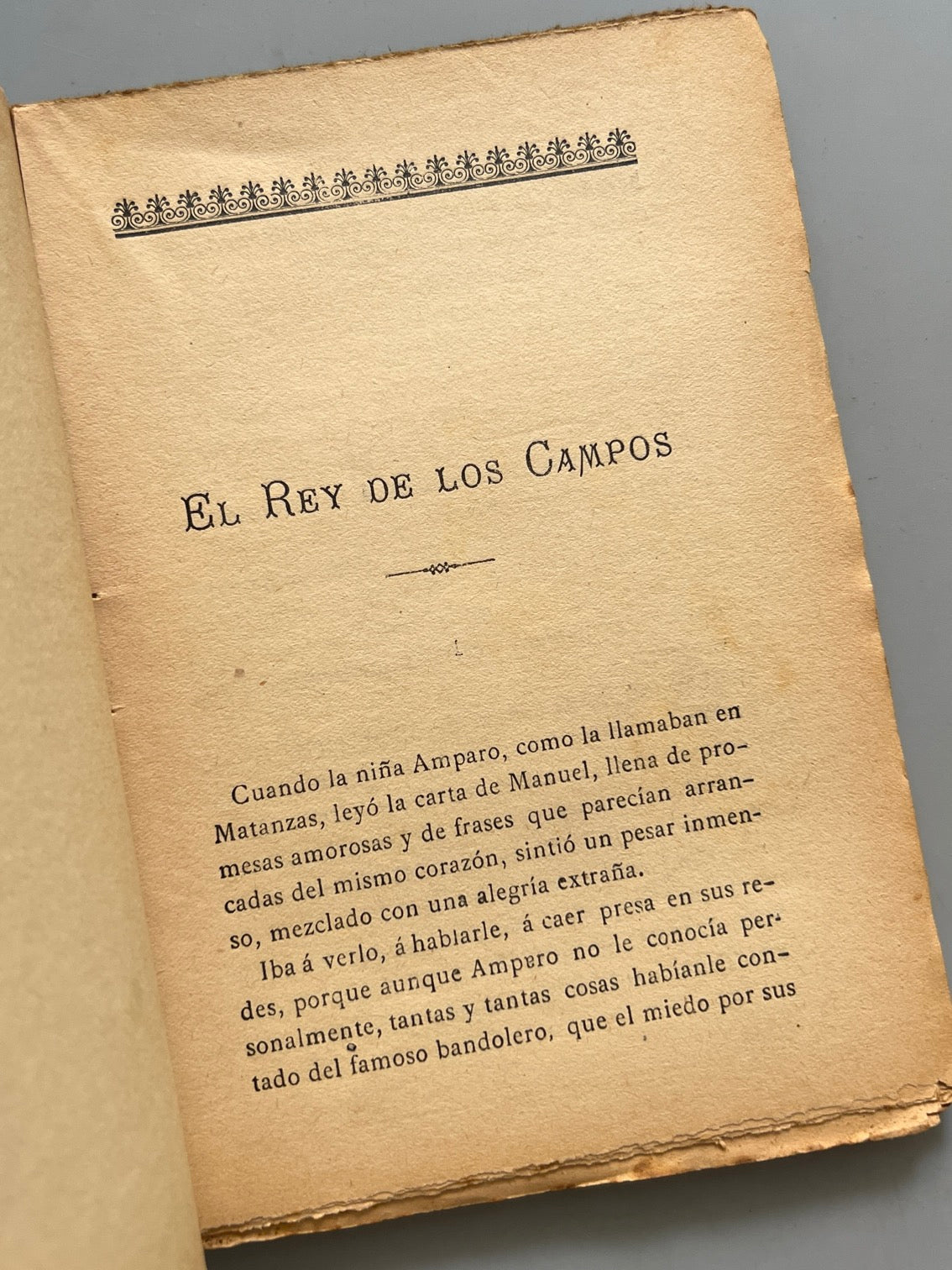 Libro de: El Rey De Los Campos (Manuel García), Rafael Guerrero - Casa Editorial Maucci, 1900