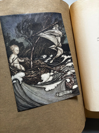 Piter Pan Dans Les Jardins De Kensington, Arthur Rackham (firmado, nº8) Peter Pan - Hachette, 1907