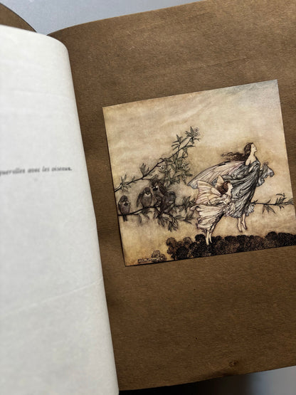 Libro de: Piter Pan Dans Les Jardins De Kensington, Arthur Rackham (firmado, nº8) Peter Pan - Hachette, 1907