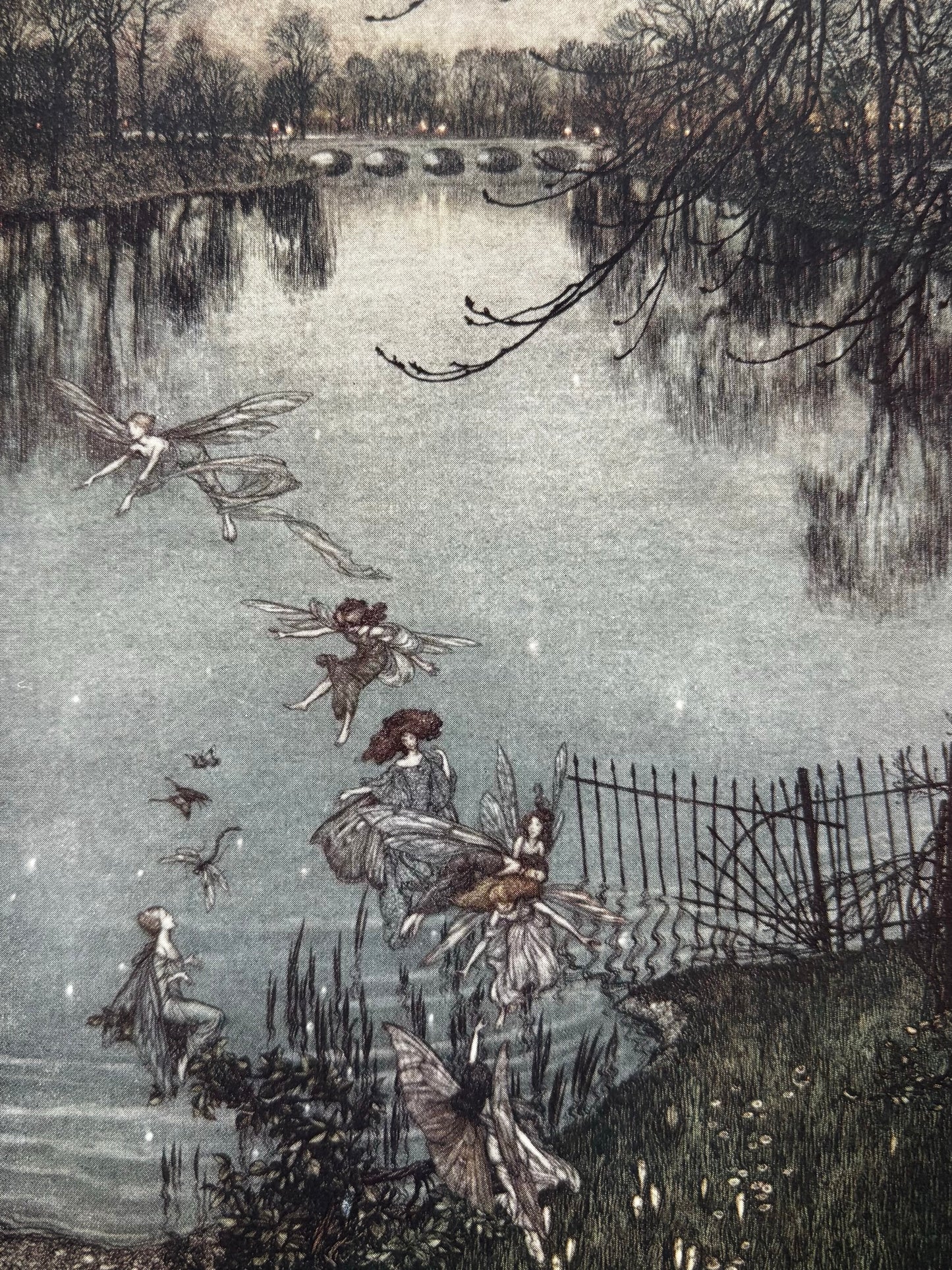 Libro de: Piter Pan Dans Les Jardins De Kensington, Arthur Rackham (firmado, nº8) Peter Pan - Hachette, 1907