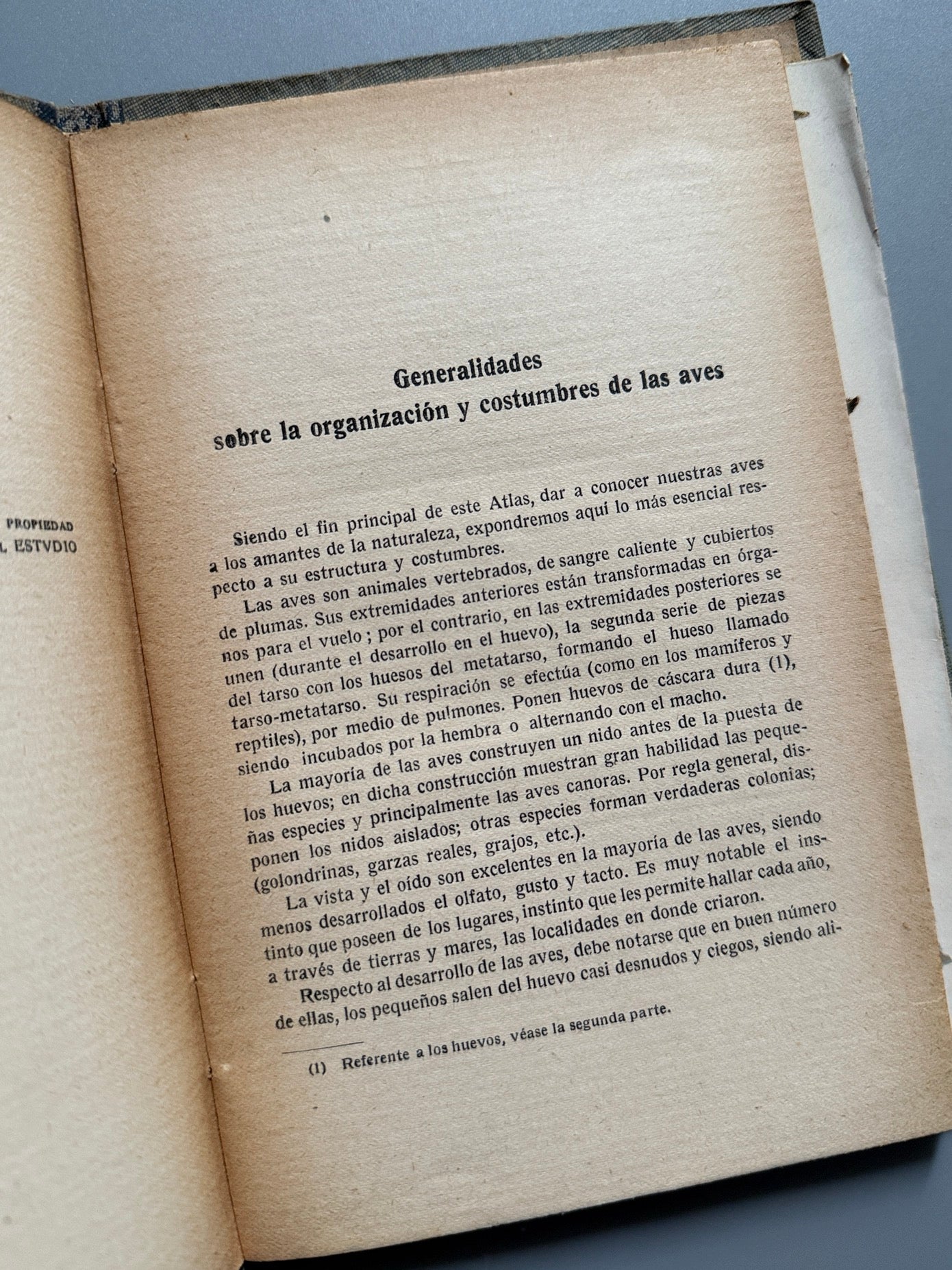 Libro de: Atlas de las aves, Ignacio de Sagarra - Casa Editorial Estudio, 1914