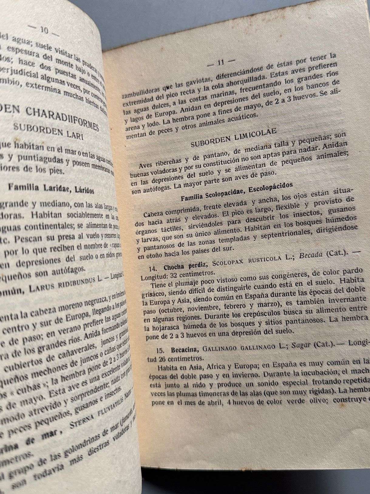 Libro de: Atlas de las aves, Ignacio de Sagarra - Casa Editorial Estudio, 1914