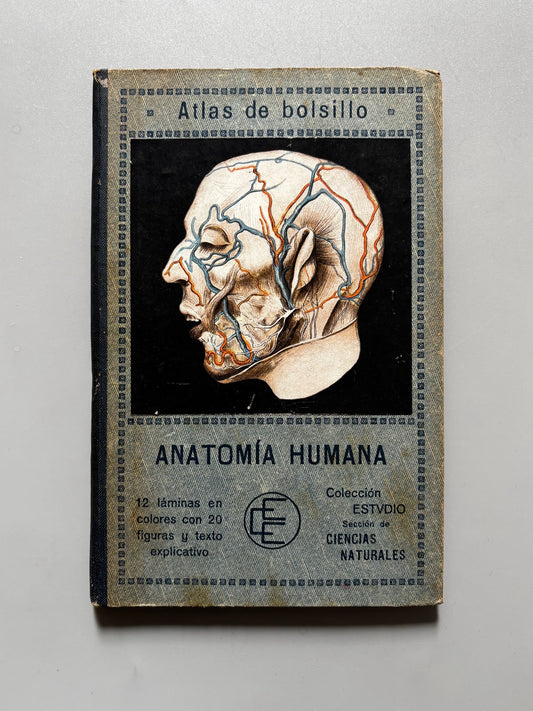 Atlas de bolsillo de anatomía humana, Traducción de A. Costa - Casa Editorial Estudio, 1914