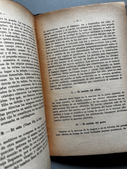 Libro de: Atlas de bolsillo de anatomía humana, Traducción de A. Costa - Casa Editorial Estudio, 1914