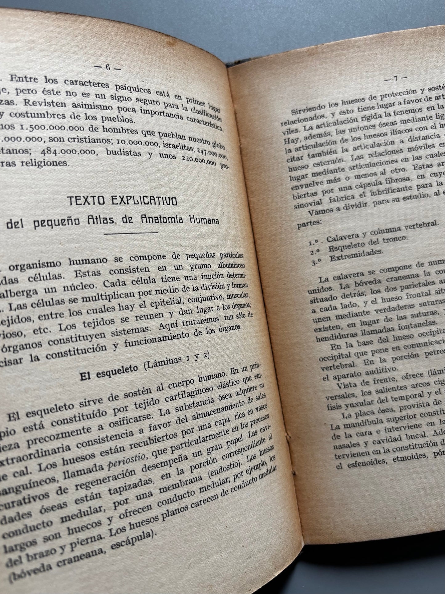 Libro de: Atlas de bolsillo de anatomía humana, Traducción de A. Costa - Casa Editorial Estudio, 1914