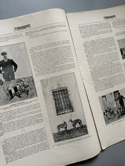 Libro de: Tiro e Sport nº289 - Candido Chaves Editor, 31 de agosto de 1904