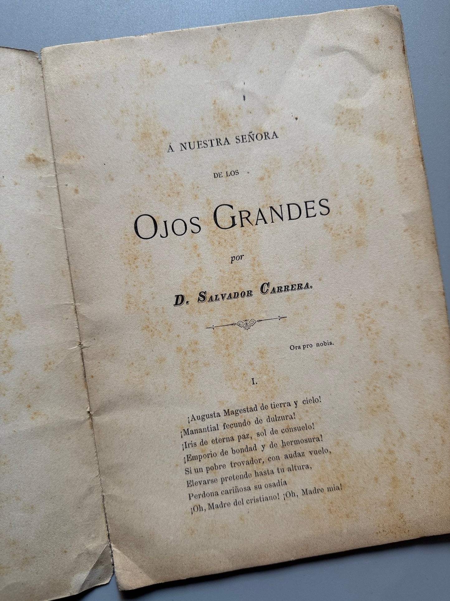 Libro de: A nuestra Señora de los ojos grandes de Lugo, Salvador Carrera - Tipografía Mariana, 1883