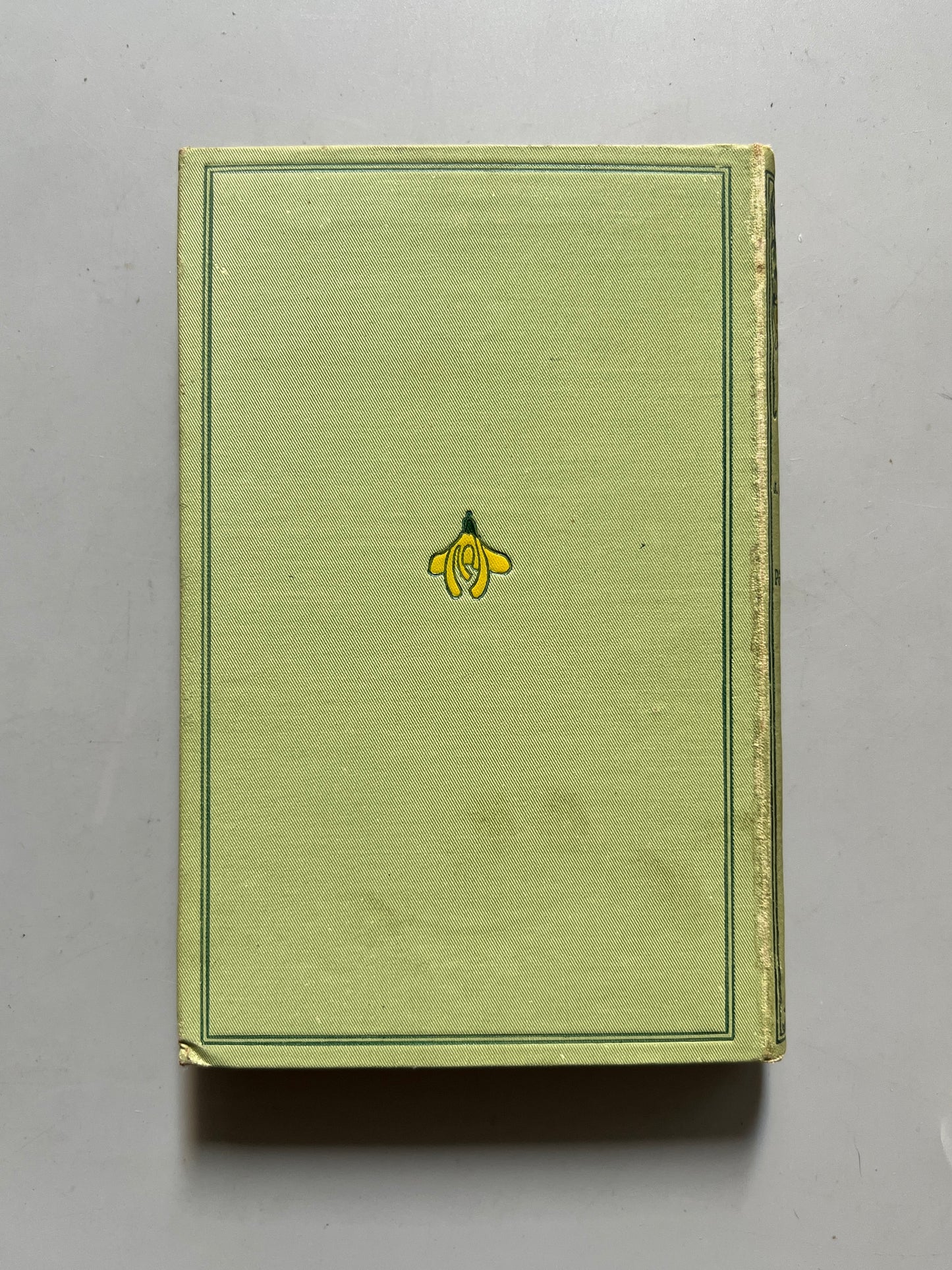 Libro de: Le Pôle Sud, J. Rouch - Ernest Flammarion Editeur, 1921