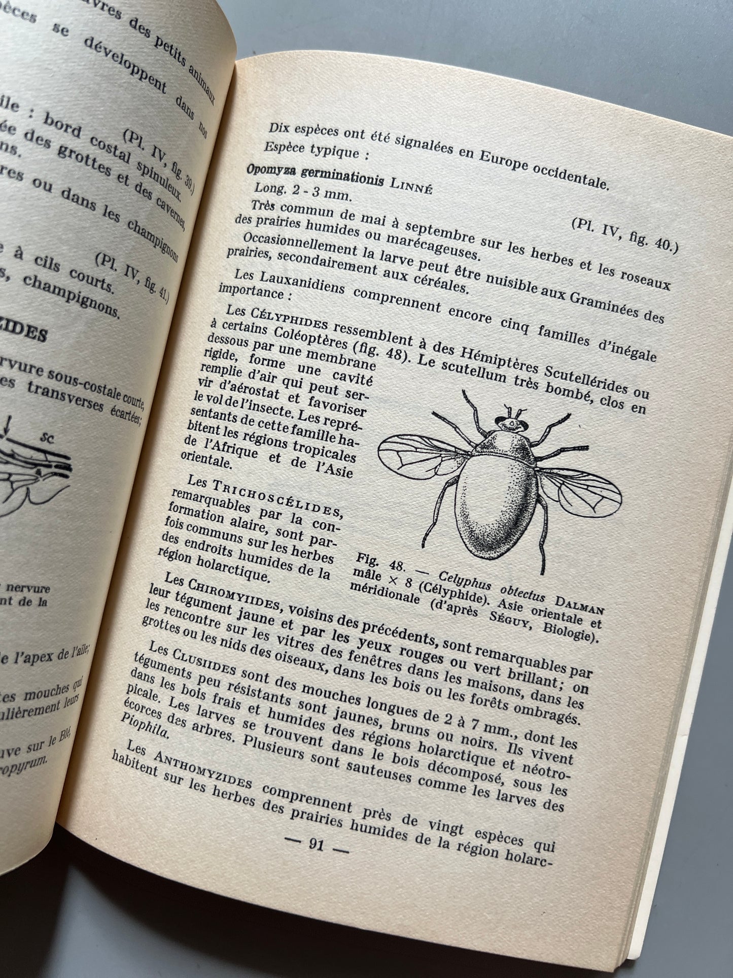 Libro de: Les diptères de France, Belgique, Suisse, E. Séguy - Éditions N. Boubée, 1951