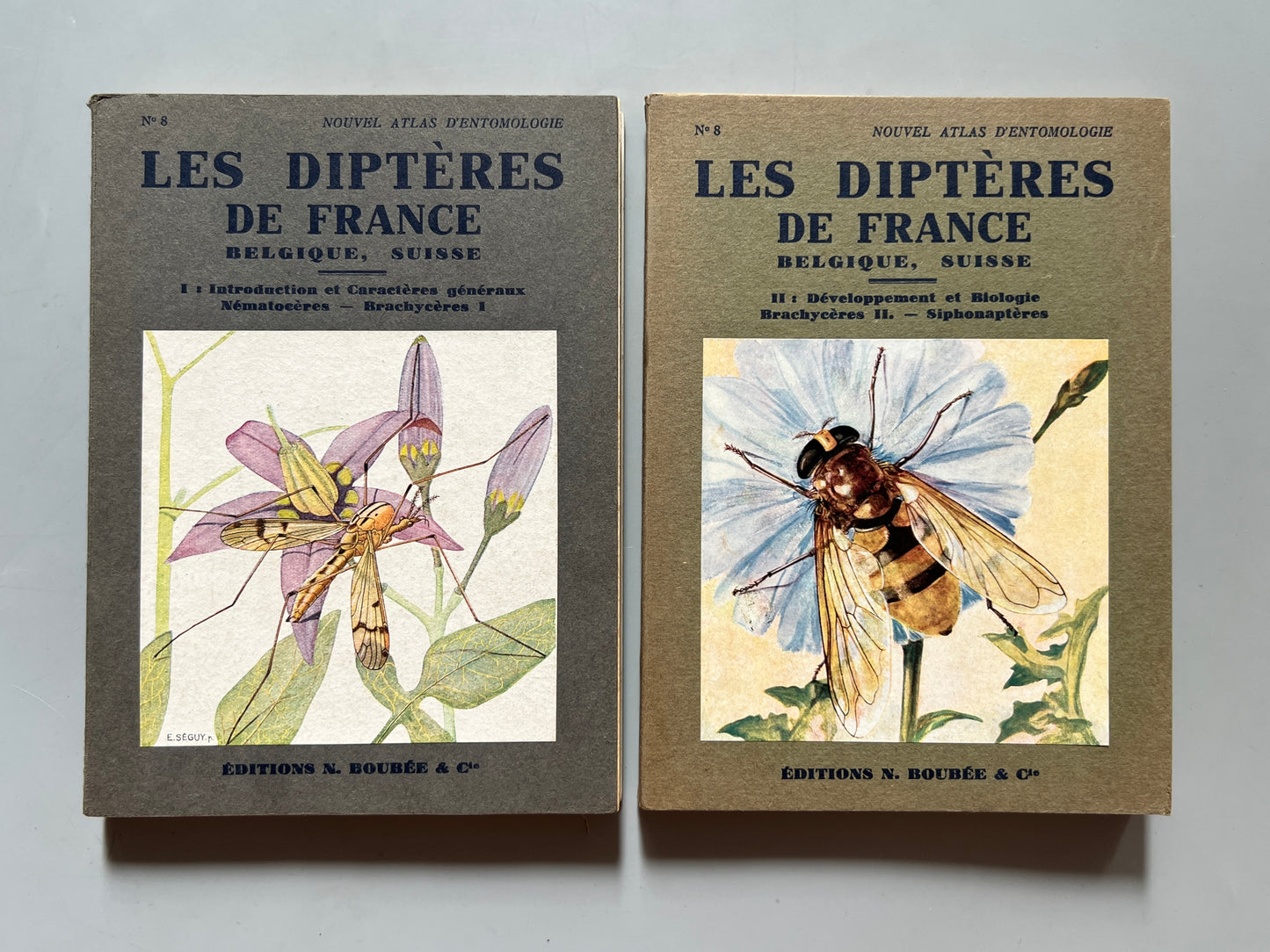 Libro de: Les diptères de France, Belgique, Suisse, E. Séguy - Éditions N. Boubée, 1951