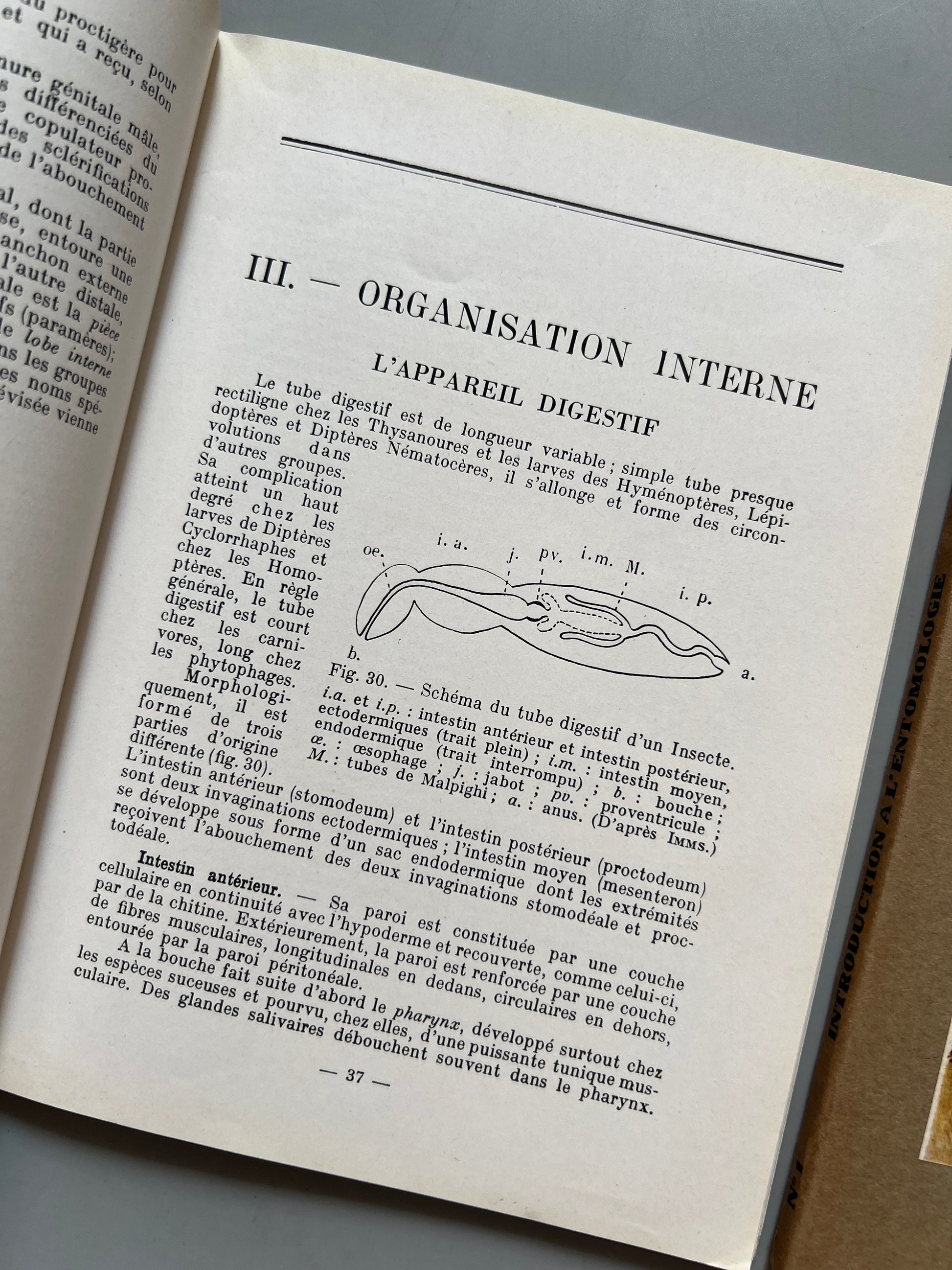 Libro de: Introduction a l'entomologie, R. Jeannel - Éditions N. Boubée & Cie, 1946-1949