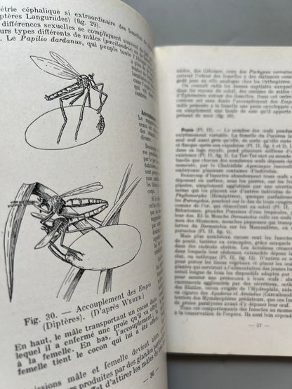 Libro de: Introduction a l'entomologie, R. Jeannel - Éditions N. Boubée & Cie, 1946-1949