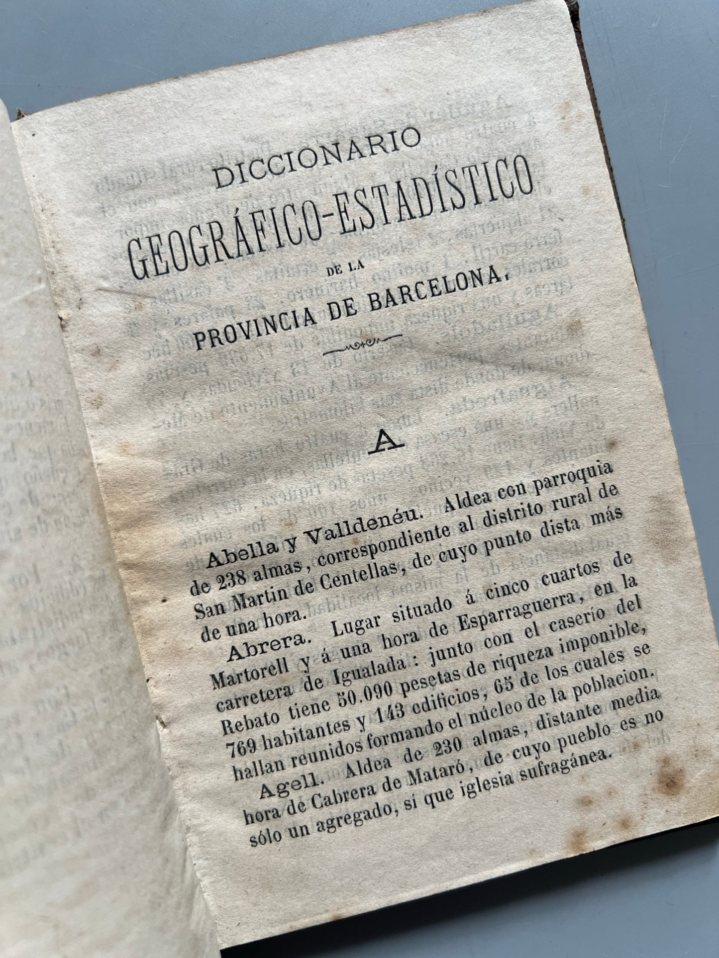 Libro de: Diccionario geográfico-estadístico de la provincia de Barcelona, Lorenzo Vidal y Tusell - 1877