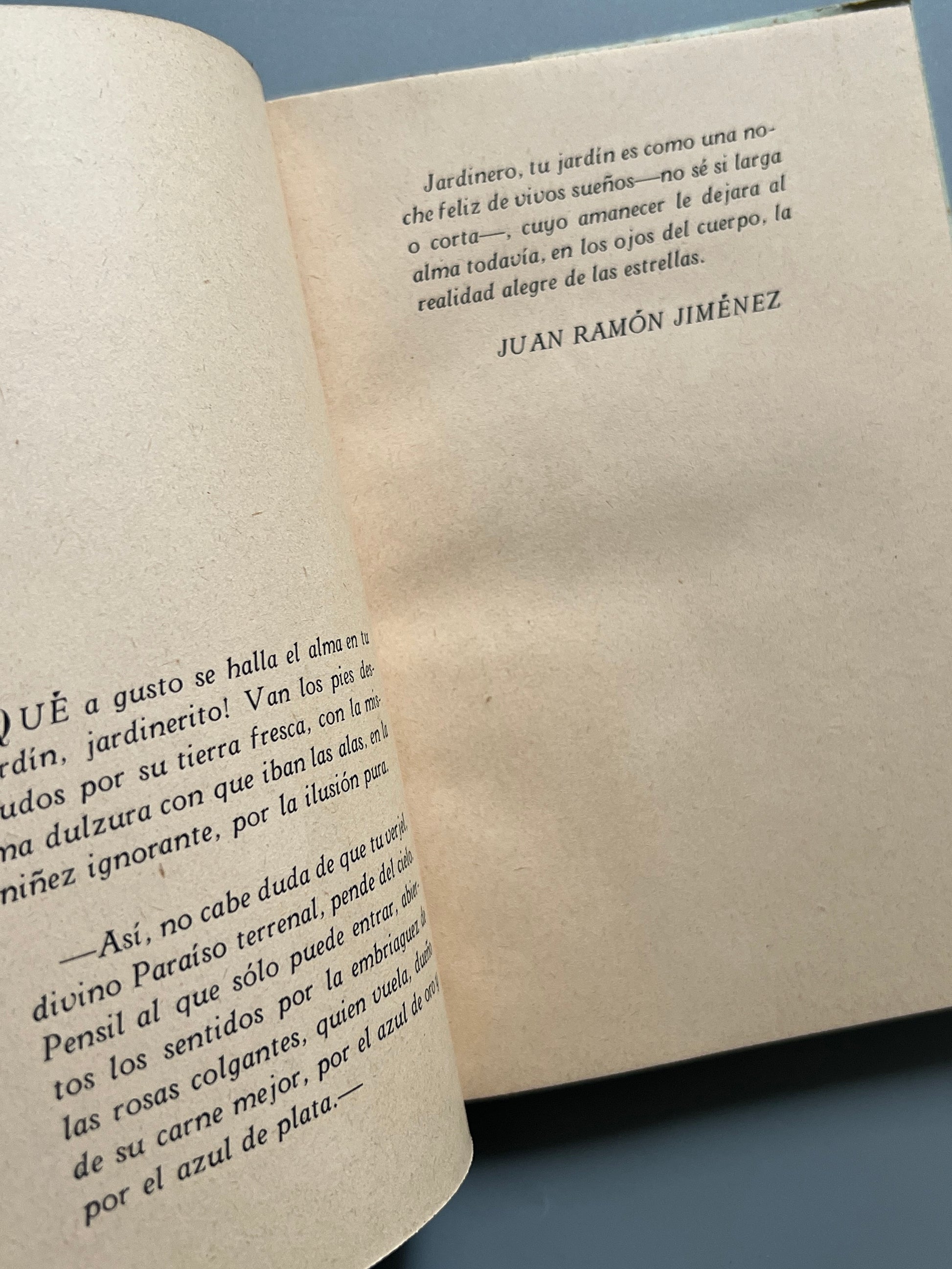 Libro de: El jardinero, Rabindranah Tagore - J. García, 1943