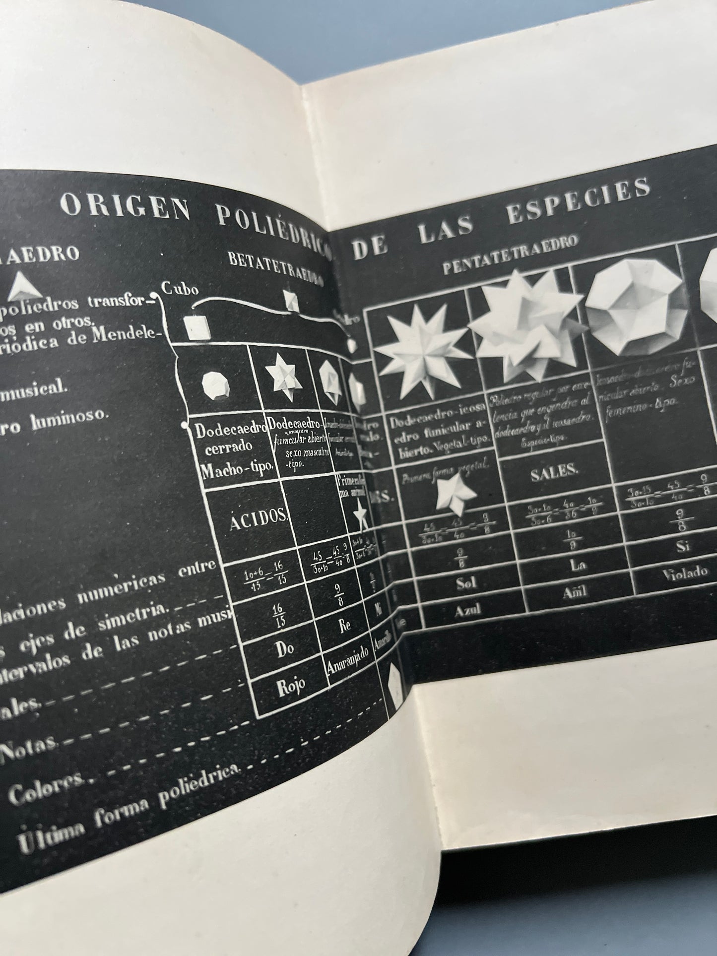 Libro de: Origen poliédrico de las especies, Arturo Soria y Mata (+ recortes periódico)  - Madrid, 1894