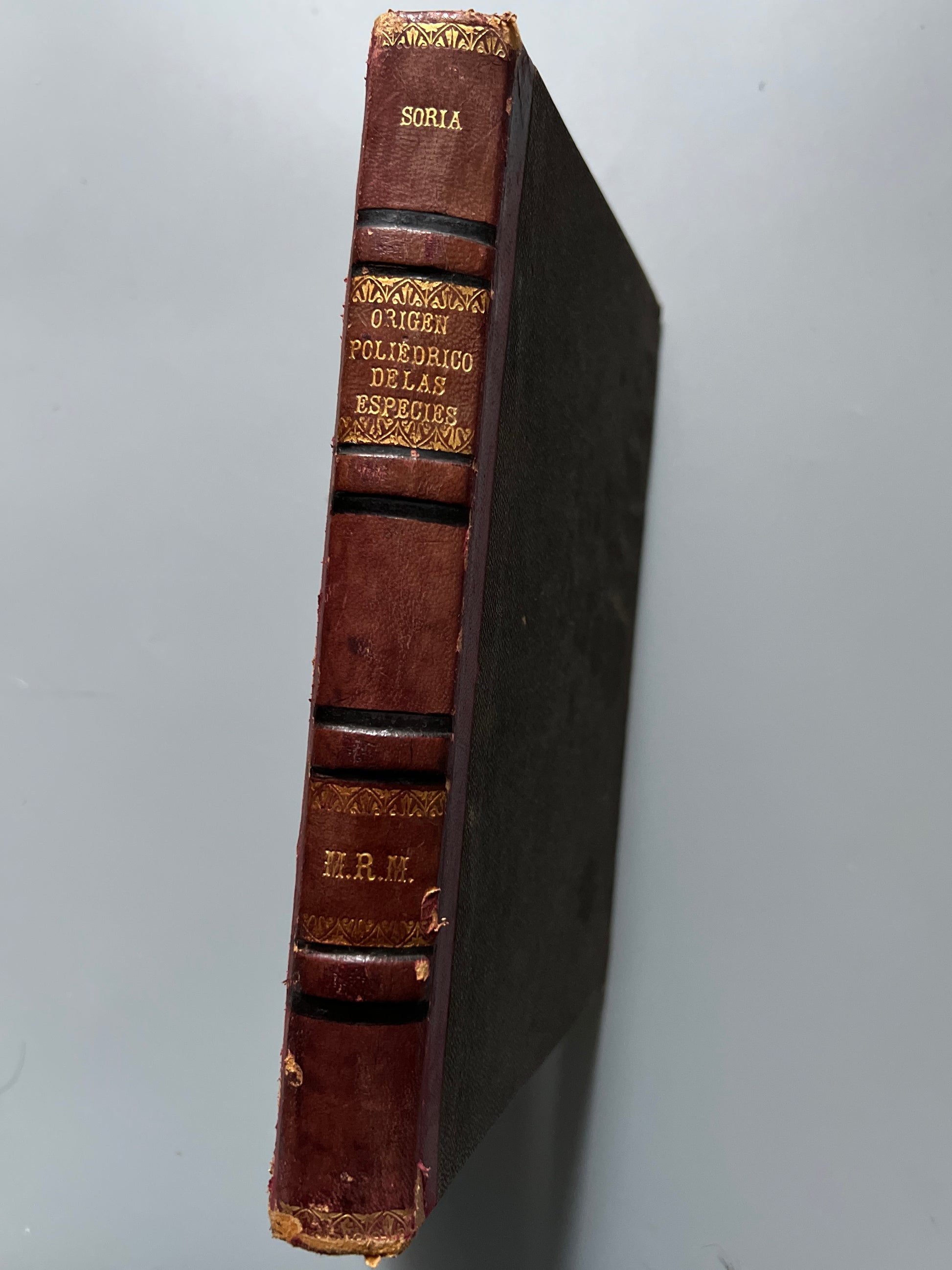 Libro de: Origen poliédrico de las especies, Arturo Soria y Mata (+ recortes periódico)  - Madrid, 1894