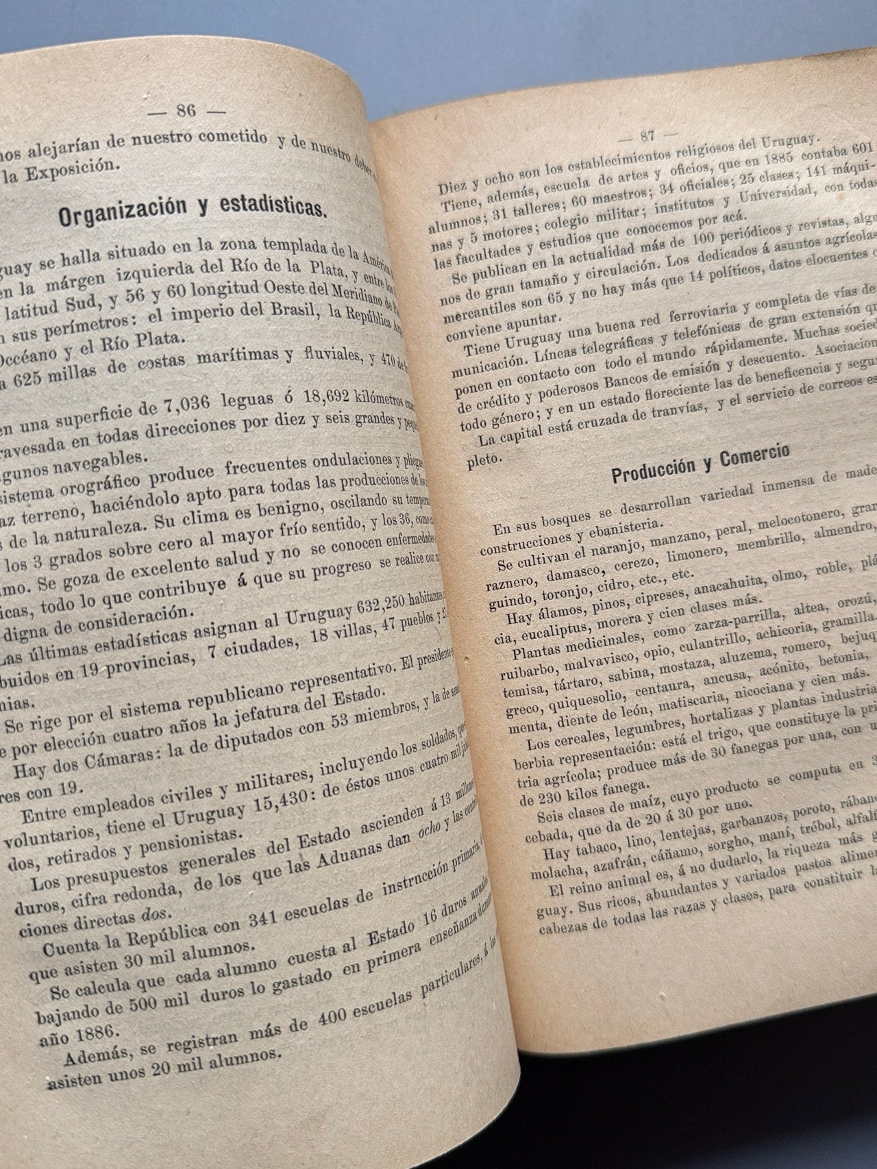 Libro de: Estudios completos sobre la Exposición Universal Barcelona 1888, El Diario Mercantil, 1888