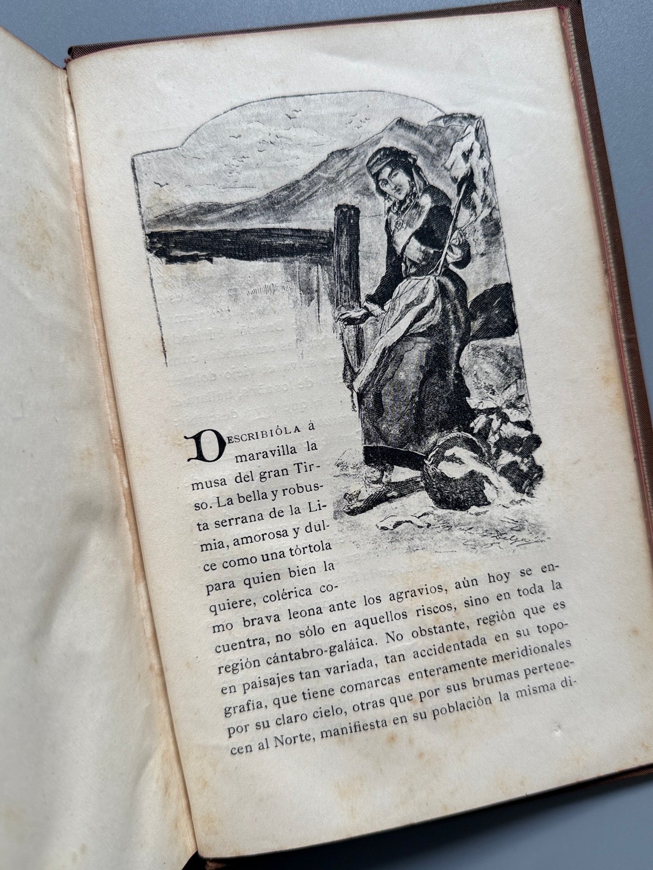 Libro de: La dama jovén, Emilia Pardo Bazán - Biblioteca Arte y Letras, 1885