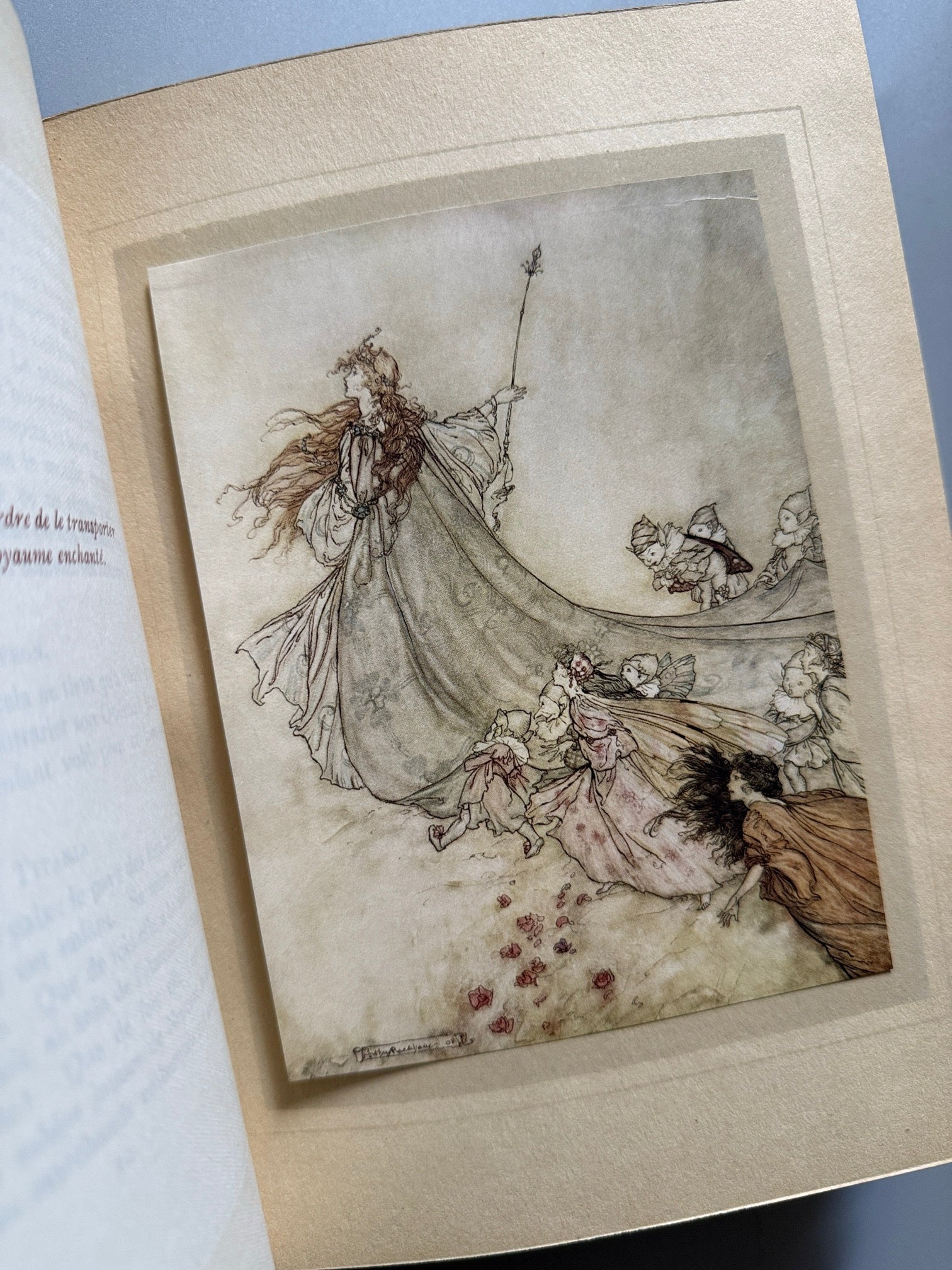 Libro de: Le songe d'une nuit d'été, William Shakespeare. Arthur Rackham - Hachette et Cie, 1909