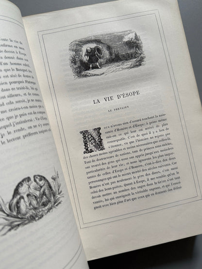 Libro de: Fables de la Fontaine, La Fontaine - Garnier Frères, libraires-éditeurs, ca.1870