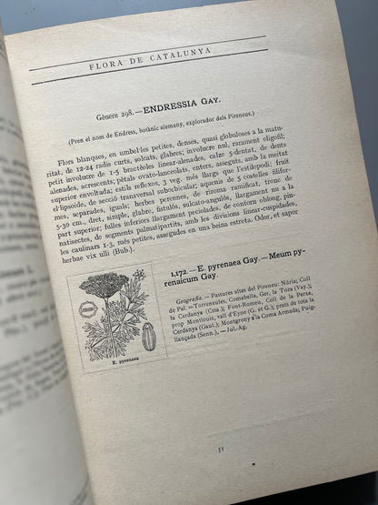 Flora de Catalunya, Joan Cadevall y Diars - Institut de Ciències, 1915-1936