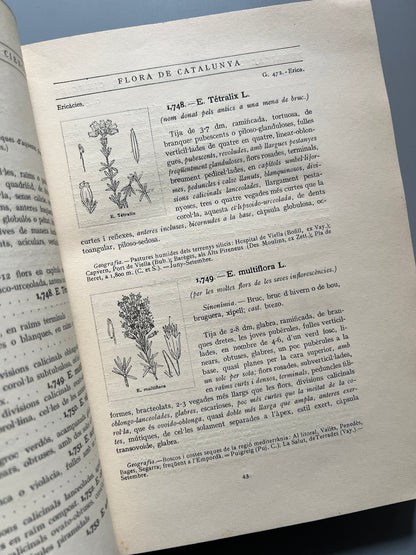 Flora de Catalunya, Joan Cadevall y Diars - Institut de Ciències, 1915-1936