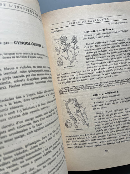 Flora de Catalunya, Joan Cadevall y Diars - Institut de Ciències, 1915-1936