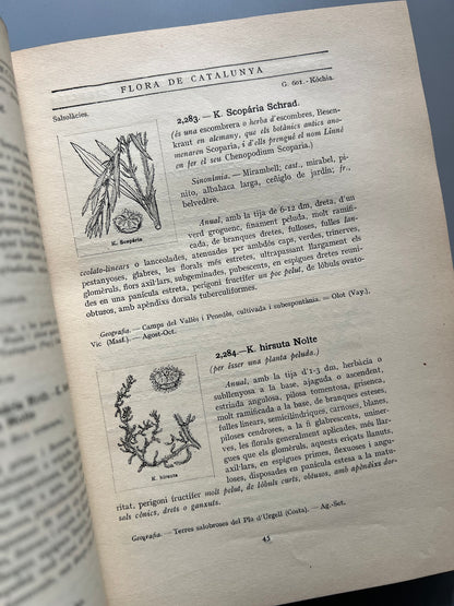 Flora de Catalunya, Joan Cadevall y Diars - Institut de Ciències, 1915-1936