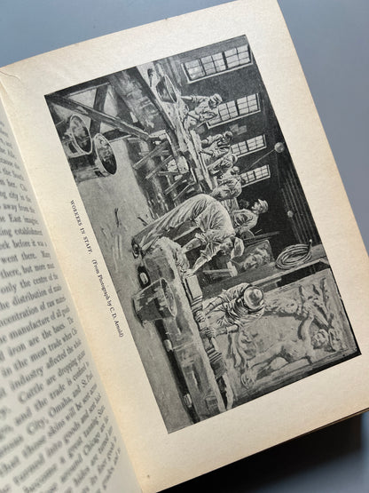 Harper's Chicago and the world's fair, Julian Ralph - Harper & Brothers publishers, 1893