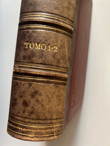 Historia general de Alemania, V. Ortiz de la Puebla - J. Aleu y Fugarull editor-impresor, 1877