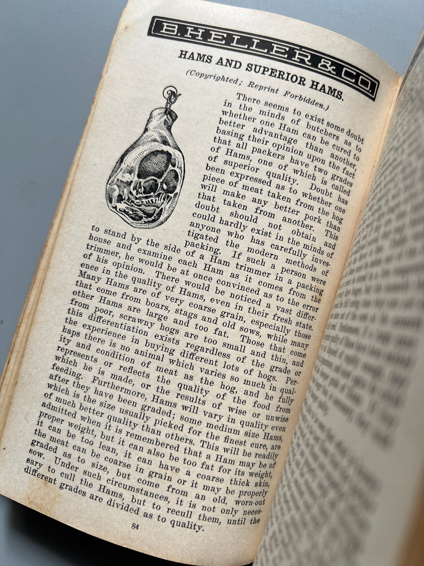 Secrets of meat curing and sausage making - B. Heller & Co, 1928