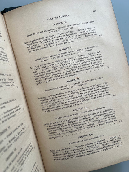 Travailleurs et malfaiteurs microscopiques, I. Aristide Rey - Bibliothèque d'Éducation et de récréation, ca. 1880