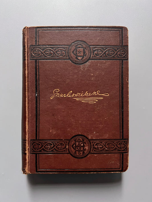 Dombey and son, Charles Dickens. The Charles Dickens edition - Chapman and Hall, ca. 1900