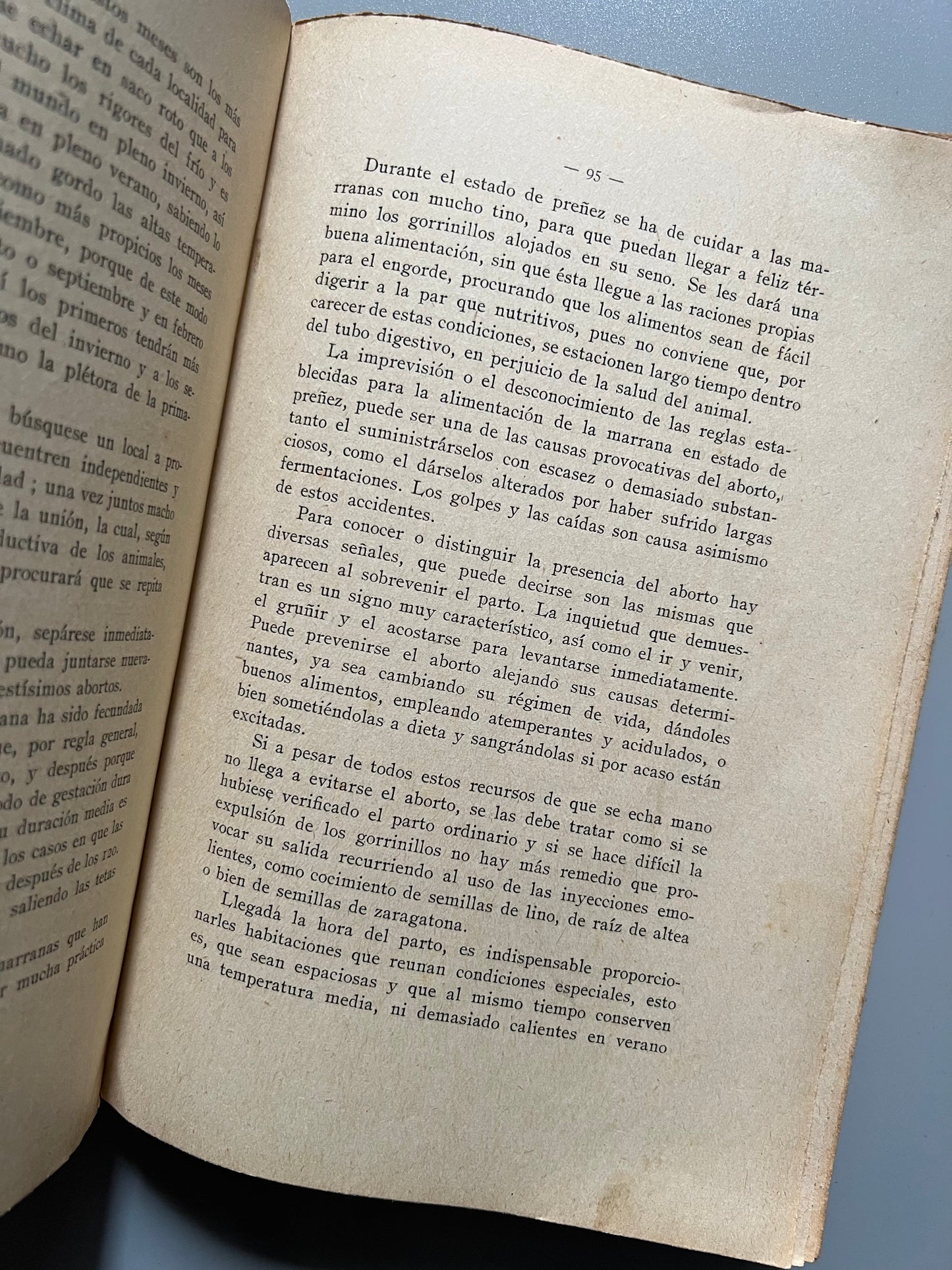 El cerdo, tratado completo de salchichería, Rafael Salavera y Trías - Librería de Francisco Puig, 1924