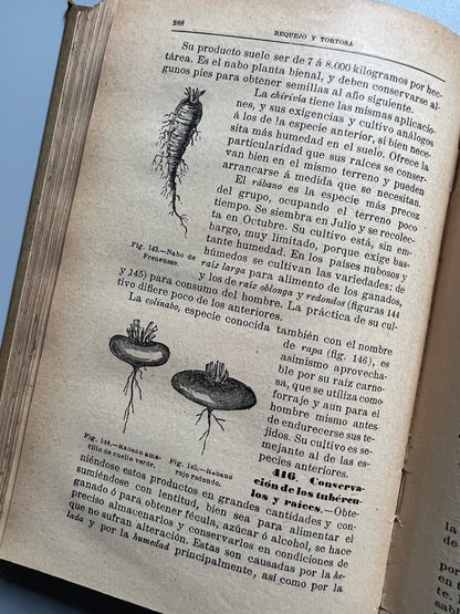 Tratado de agricultura elemental, Requejo y Tortosa - Avrial impresor, 1901